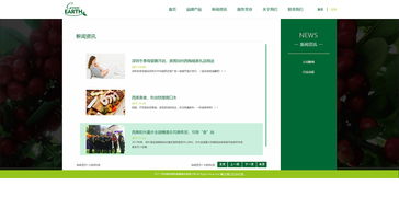 健康食品網(wǎng)站