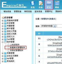 帝國(guó)cms后臺(tái)附件管理詳解及使用方法